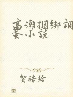 高潮捆绑调教跳蛋小说