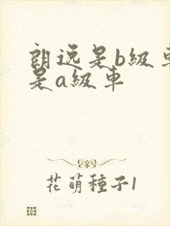朗逸是b级车还是a级车