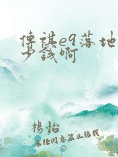 传祺e9落地多少钱啊