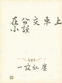 在公交车上被上小说 在公交车上被上小说