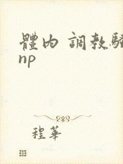 体内 调教骚货np