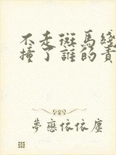 不走斑马线被车撞了谁的责任