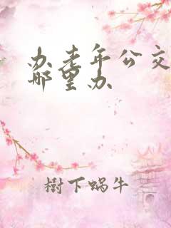 办老年公交卡在哪里办