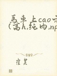 马车上cao穴(高h,纯肉,np)