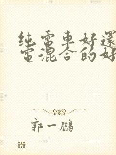 纯电车好还是油电混合的好