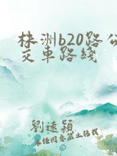 株洲b20路公交车路线 株洲b20路公交车路线