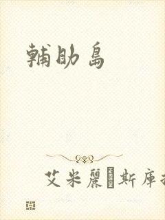 辅助岛