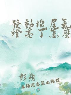 发动机尾气故障灯亮了怎么办