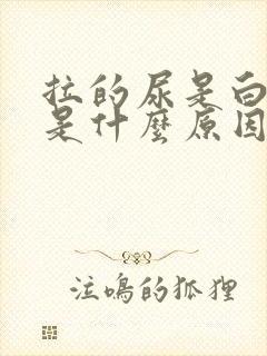 拉的尿是白色的是什么原因