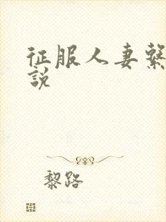 征服人妻系列小说