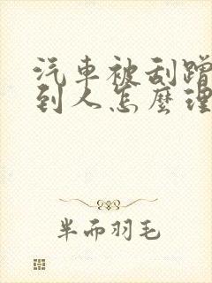 汽车被刮蹭找不到人怎么理赔