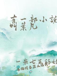有一部小说主角叫叶凡