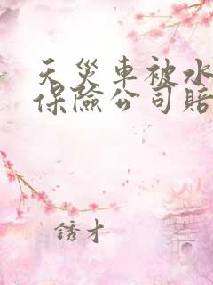天灾车被水淹了保险公司赔吗
