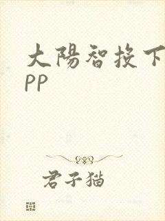 大阳智投下载app