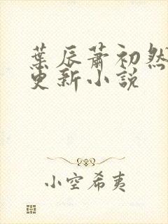 叶辰萧初然最快更新小说