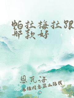 帕拉梅拉跟卡宴哪款好