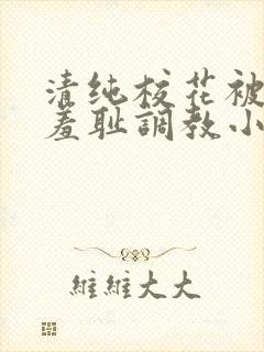 清纯校花被民工羞耻调教小说