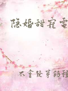 隐婚甜宠电视剧