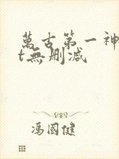 万古第一神txt无删减 万古第一神txt无删减