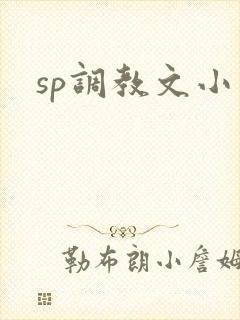 sp调教文小说