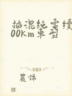 插混纯电续航300km车型
