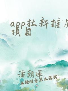 app拉新推广项目