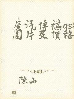 广汽传祺gs8图片及价格