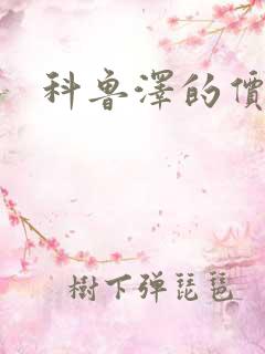 科鲁泽的价格