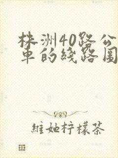 株洲40路公交车的线路图及站点