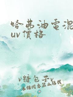 哈弗油电混动suv价格