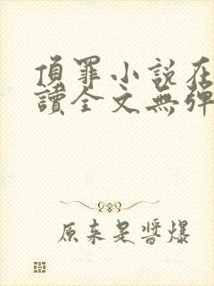 顶罪小说在线阅读全文无弹窗