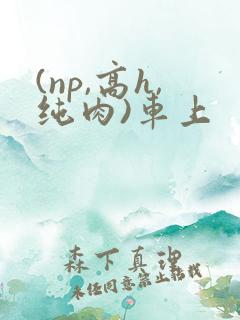 (np,高h,纯肉)车上 (np,高h,纯肉)车上