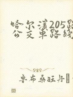 哈尔滨205路公交车路线