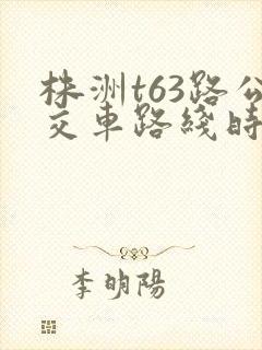 株洲t63路公交车路线时间表