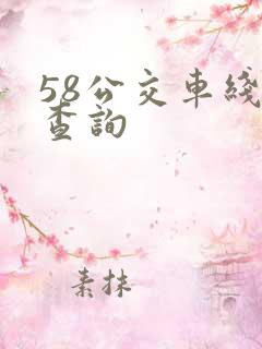 58公交车线路查询