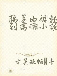 隔着内裤轻轻揉到高潮小说