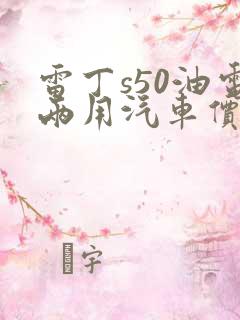 雷丁s50油电两用汽车价
