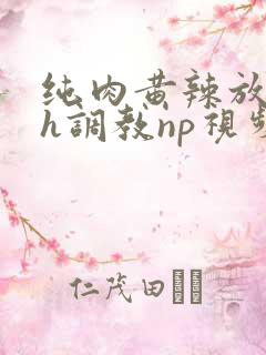 纯肉黄辣放荡高h调教np视频