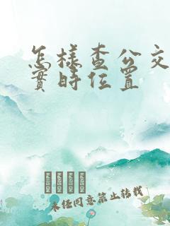 怎样查公交车的实时位置