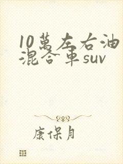 10万左右油电混合车suv