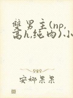 双男主(np,高h,纯肉)小说推荐
