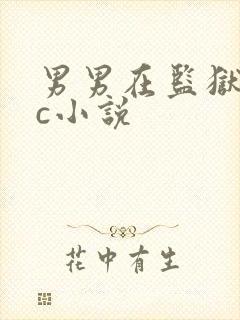 男男在监狱被强c小说