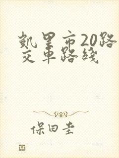 凯里市20路公交车路线