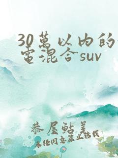 30万以内的油电混合suv