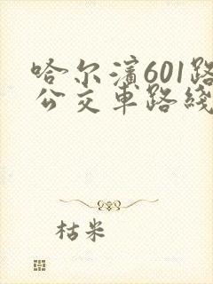 哈尔滨601路公交车路线时间表