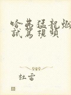 哈弗猛龙燃油版试驾视频