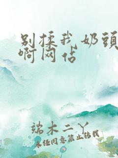 别揉我奶头啊啊啊网站