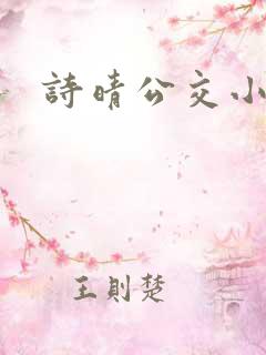 诗晴公交小说