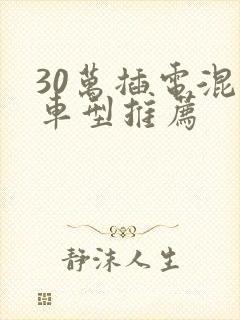 30万插电混动车型推荐