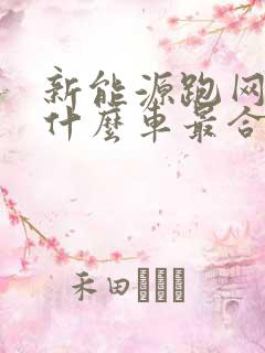 新能源跑网约车什么车最合适